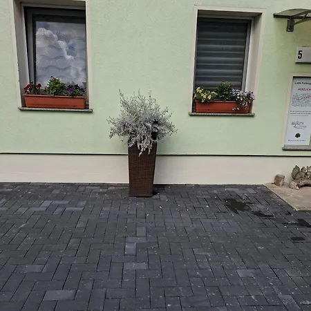 Classic Apartament *