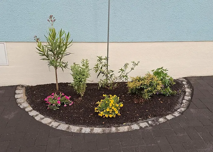 Daire Classic Radeberg